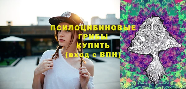 МДПВ Приозерск