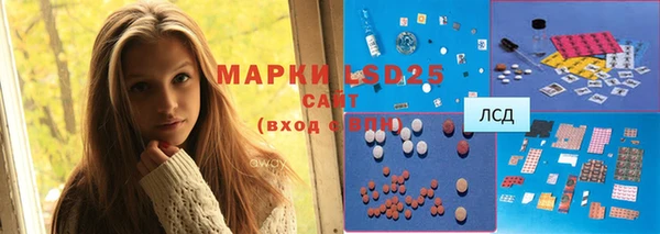 шишки Алзамай