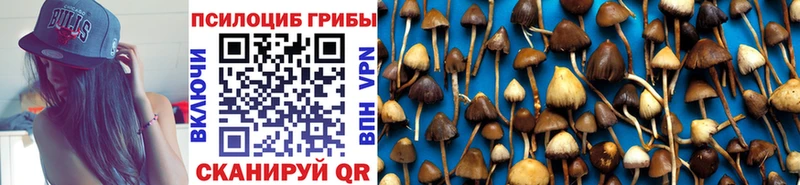 Галлюциногенные грибы Magic Shrooms Куровское