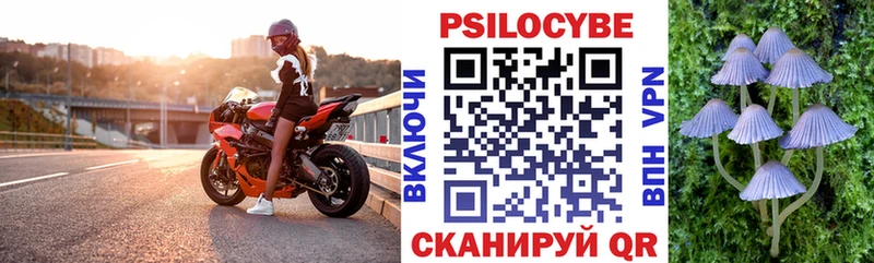 KRAKEN ССЫЛКА  Куровское  Галлюциногенные грибы мухоморы 