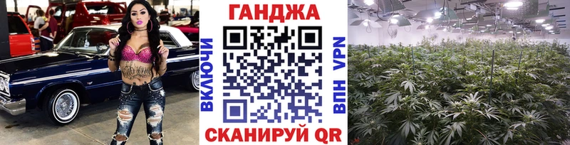 маркетплейс телеграм  Куровское  Марихуана сатива 